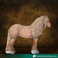 Horse Color:Red Roan