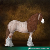 Horse Color:Red Roan Sabino Rabicano 