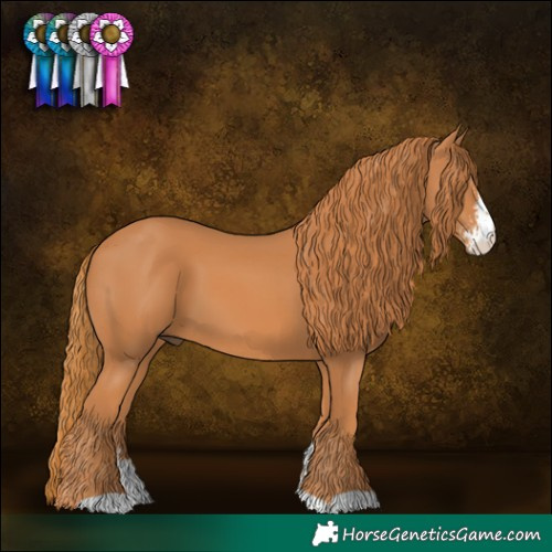 Horse Color:Chestnut Sabino 