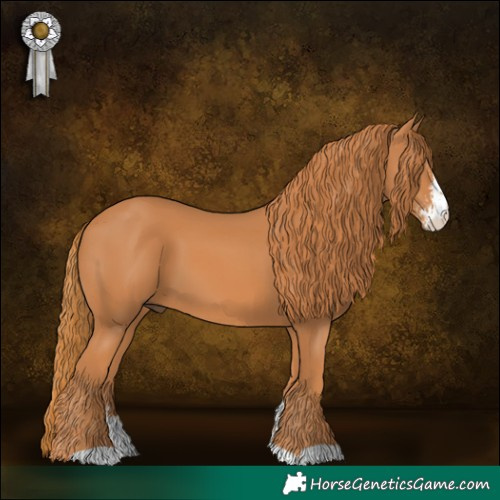 Horse Color:Chestnut Sabino 