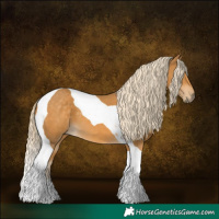 Horse Color:Palomino Tobiano