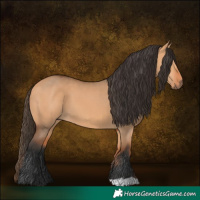 Horse Color:Bay Dun