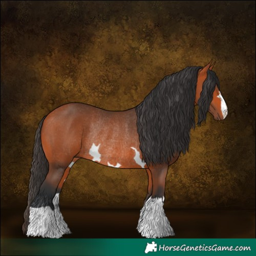 Horse Color:Bay Rabicano 