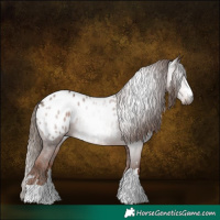 Horse Color:Gray Chestnut Blanket 