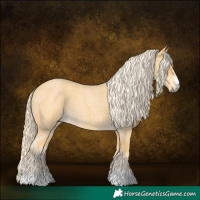 Horse Color:Palomino Roan 
