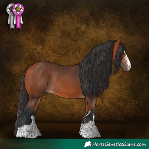 Horse Color:Bay Rabicano 