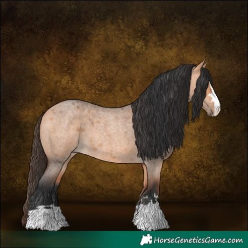 Horse Color:Bay Roan Dun 