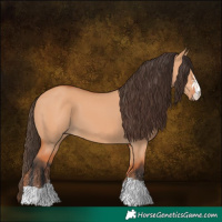 Horse Color:Bay Dun