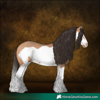 Horse Color:Bay Dun Splash Frame