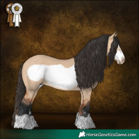 Horse Color:Bay Dun Frame 