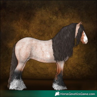 Horse Color:Bay Roan Sabino