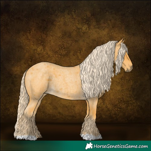 Horse Color:Palomino Roan 