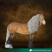 Horse Color:Silver Buckskin 