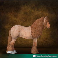 Horse Color:Red Roan 