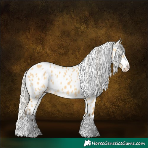 Horse Color:Silver Buckskin Dun Near Leopard 