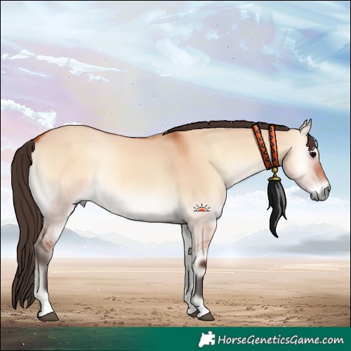 Horse Color:Bay Onyx