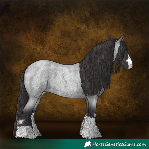 Horse Color:Smoky Blue Roan 