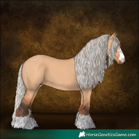 Horse Color:Silver Bay Dun
