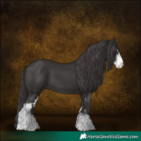 Horse Color:Smoky Black Sabino