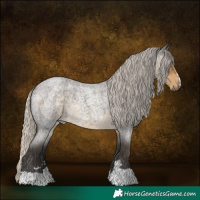Horse Color:Silver Smoky Blue Roan 