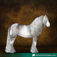 Horse Color:Gray Silver Smoky Black Sabino