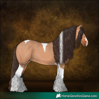 Horse Color:Bay Dun Tobiano 