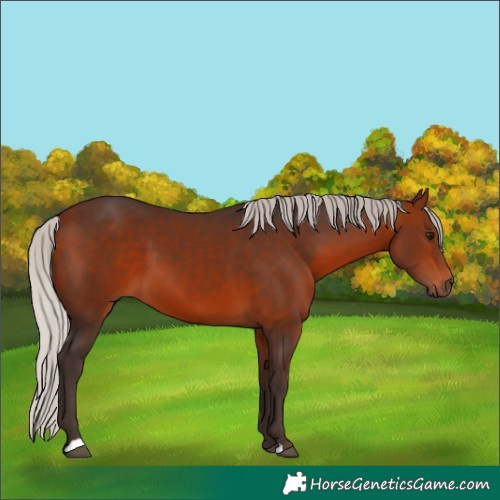 Horse Color:Silver Brown 