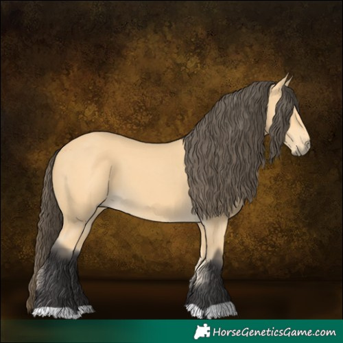 Horse Color:Buckskin 