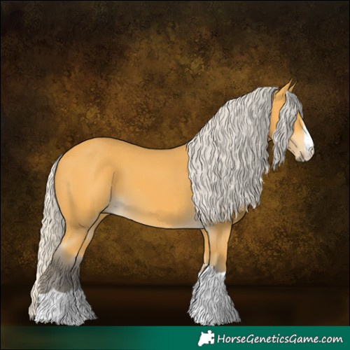 Horse Color:Silver Buckskin 