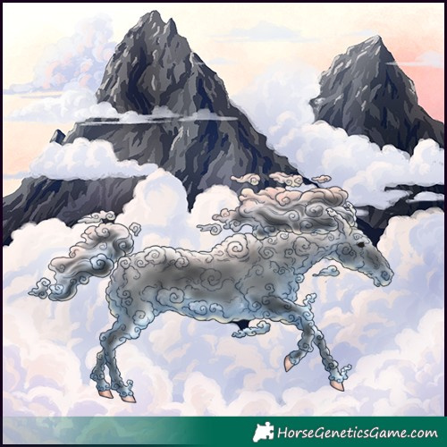 Horse Color:Black Rabicano 