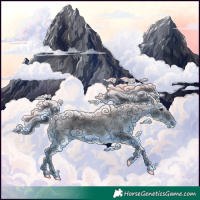 Horse Color:Black Rabicano