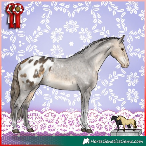 Horse Color:White Spotted Buckskin Tobiano Appaloosa Rabicano 