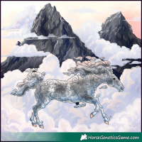 Horse Color:White Spotted Black 