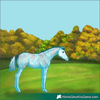 Horse Color:Thunderstruck Blue Onyx Ice Roan Splash 