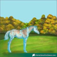 Horse Color:Gray Thunderstruck Silver Classic Champagne Ice Onyx 