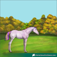 Horse Color:Painted Watercolor Buckskin Ice 