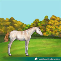 Horse Color:Plaid  Bay Ice Pearl Onyx Sabino 