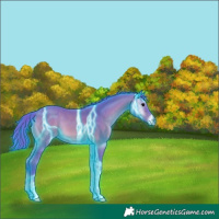 Horse Color:Thunderstruck Watercolor Bay Onyx 