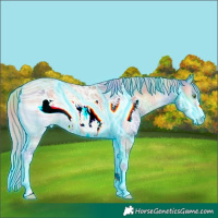 Horse Color:ERROR: UNKNOWN ANOMALY