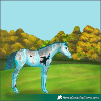 Horse Color:Thunderstruck Brown Ice Onyx Frame 