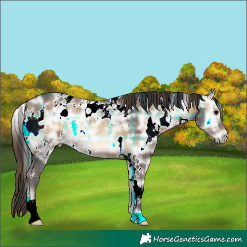 Horse Color:Plaid  White Spotted Brown Ice Onyx Rabicano 