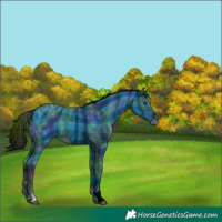Horse Color:ERROR: UNKNOWN ANOMALY