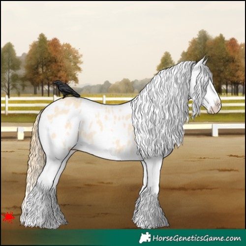 Horse Color:White Spotted Buckskin Dun Splash Blanket 