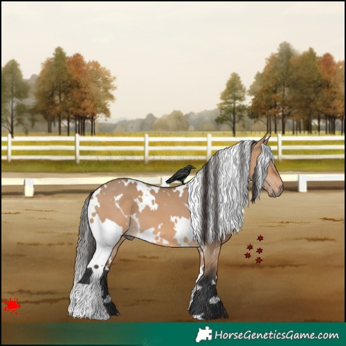 Horse Color:White Spotted Bay Dun 