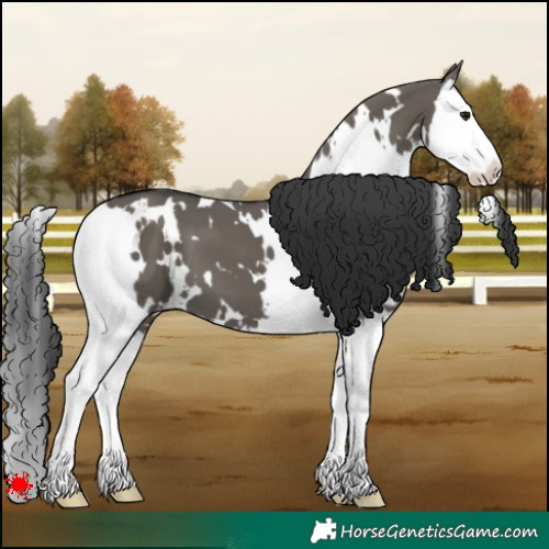 Horse Color:White Spotted Grullo Splash