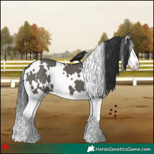Horse Color:White Spotted Grullo Splash 