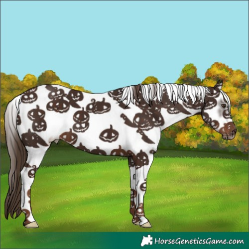 Horse Color:White Spotted Liver Chestnut Frame 
