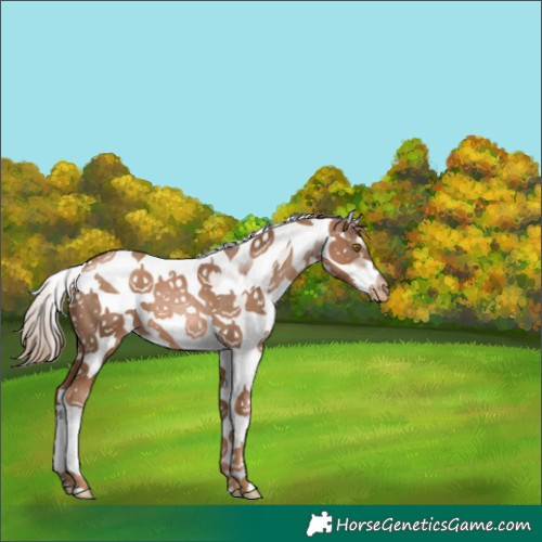 Horse Color:White Spotted Liver Chestnut Pearl Frame 