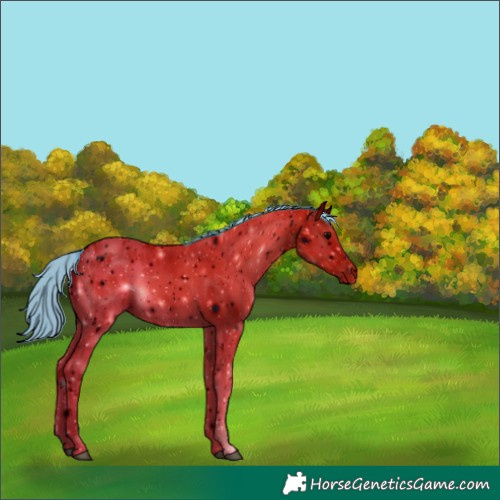 Horse Color:ERROR: UNKNOWN ANOMALY
