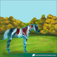 Horse Color:ERROR: UNKNOWN ANOMALY